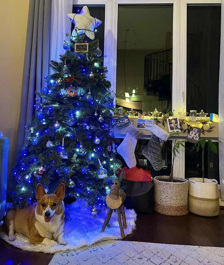 Christmas Lights On Mini Tree Indoor