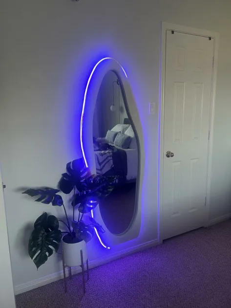 Blue Mirror Frame Side Angle View Tropical Plant White Door Wall Angle View Led Rope Lights