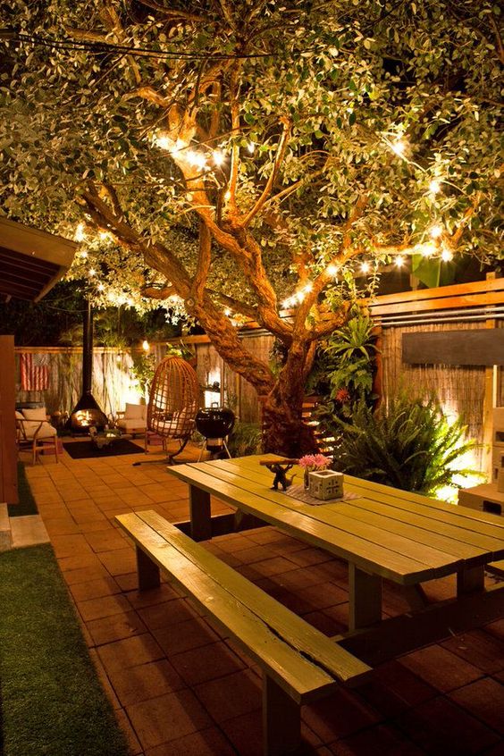 Lights For Garden String Lights On Trees And Garden Soil Spotlights