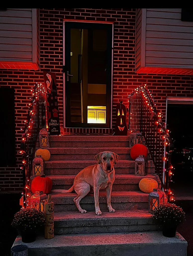 Outdoor Lights For Halloween Front Door Decorations