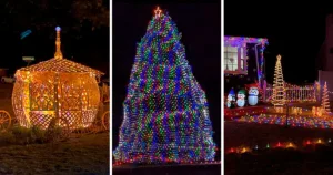 A Guide To Choosing Led Net Lights For Christmas