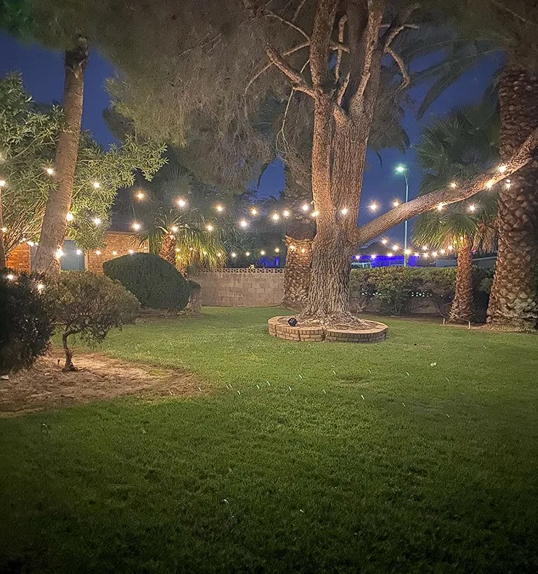 Camping Party Lights String Lights On Backyard