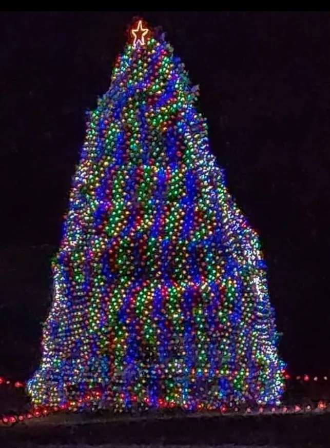 Led Net Lights On Christmas Tree