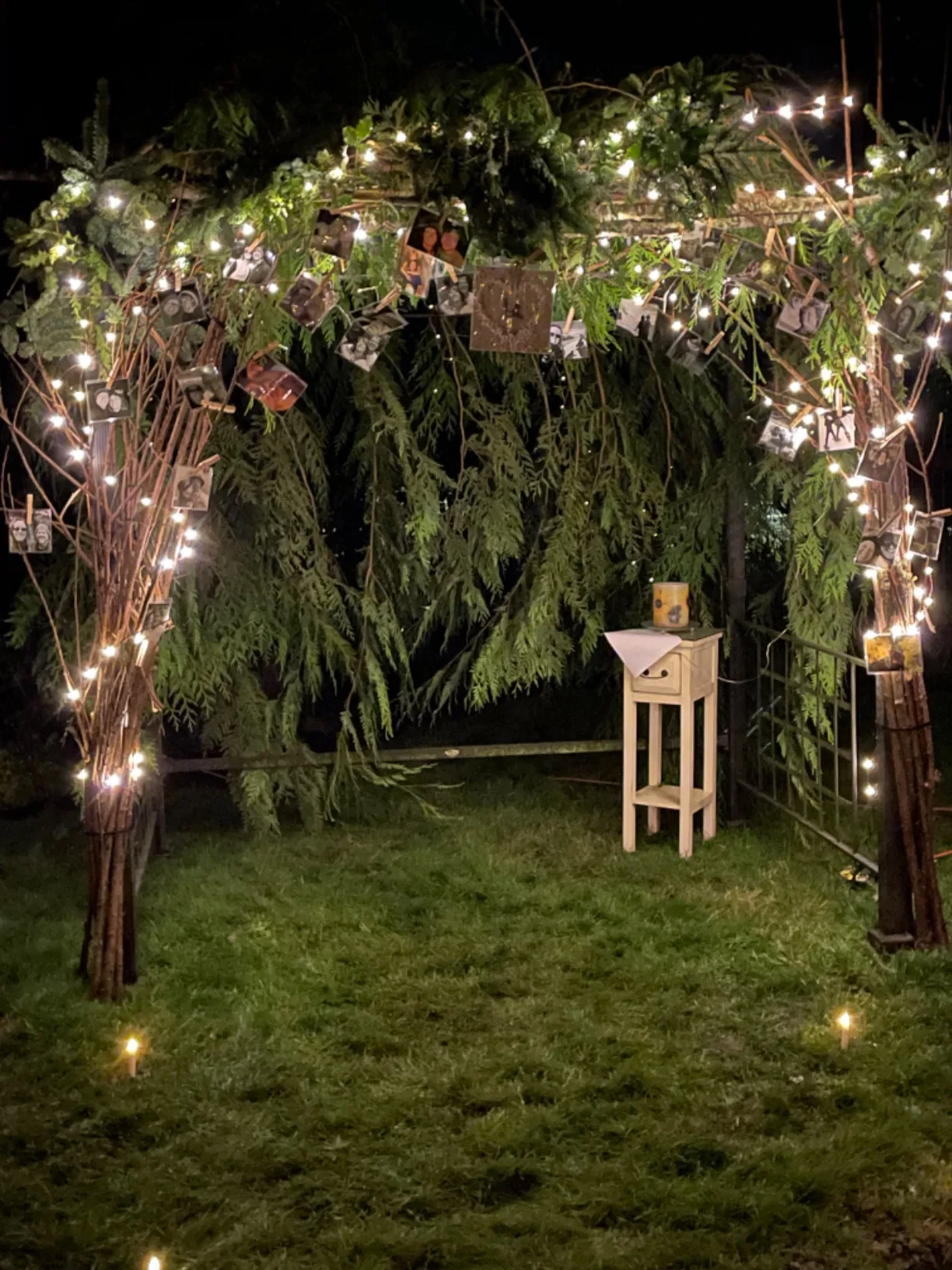 White Stringlights Branches Leaves Picture Angle View Outdoor Lights For Wedding
